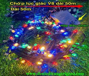 Đèn Led Dây Lục Giác 50M