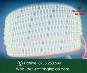 Đèn Led Dây Dán 2835 - Cuộn 100m